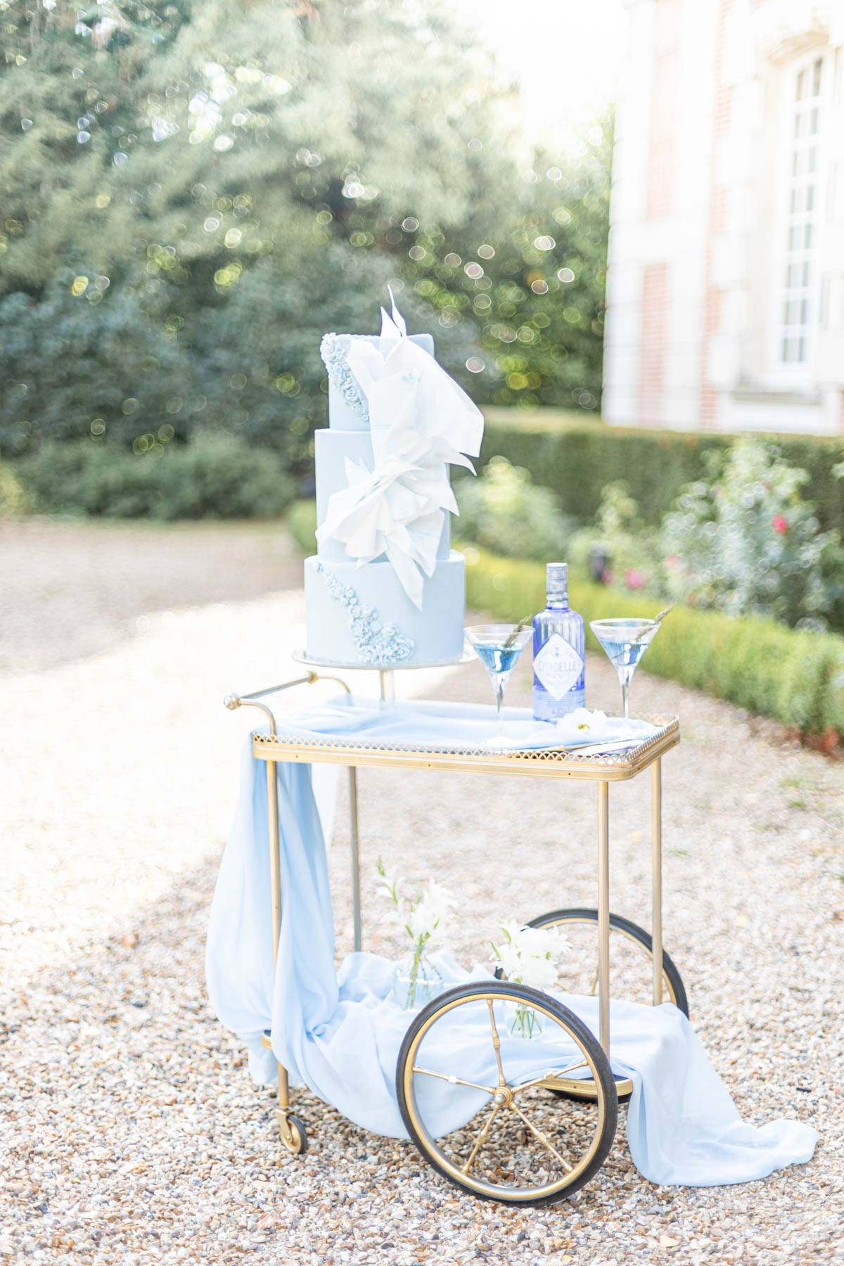 52jonathanferreira_frenchbluefineartwedd