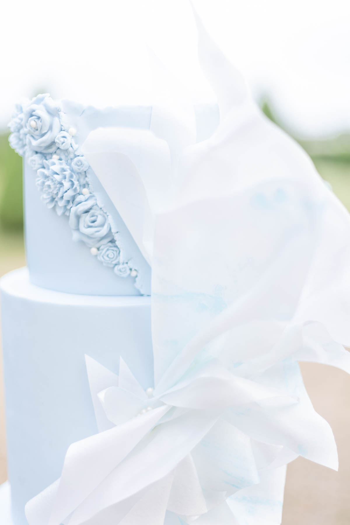 56jonathanferreira_frenchbluefineartwedd