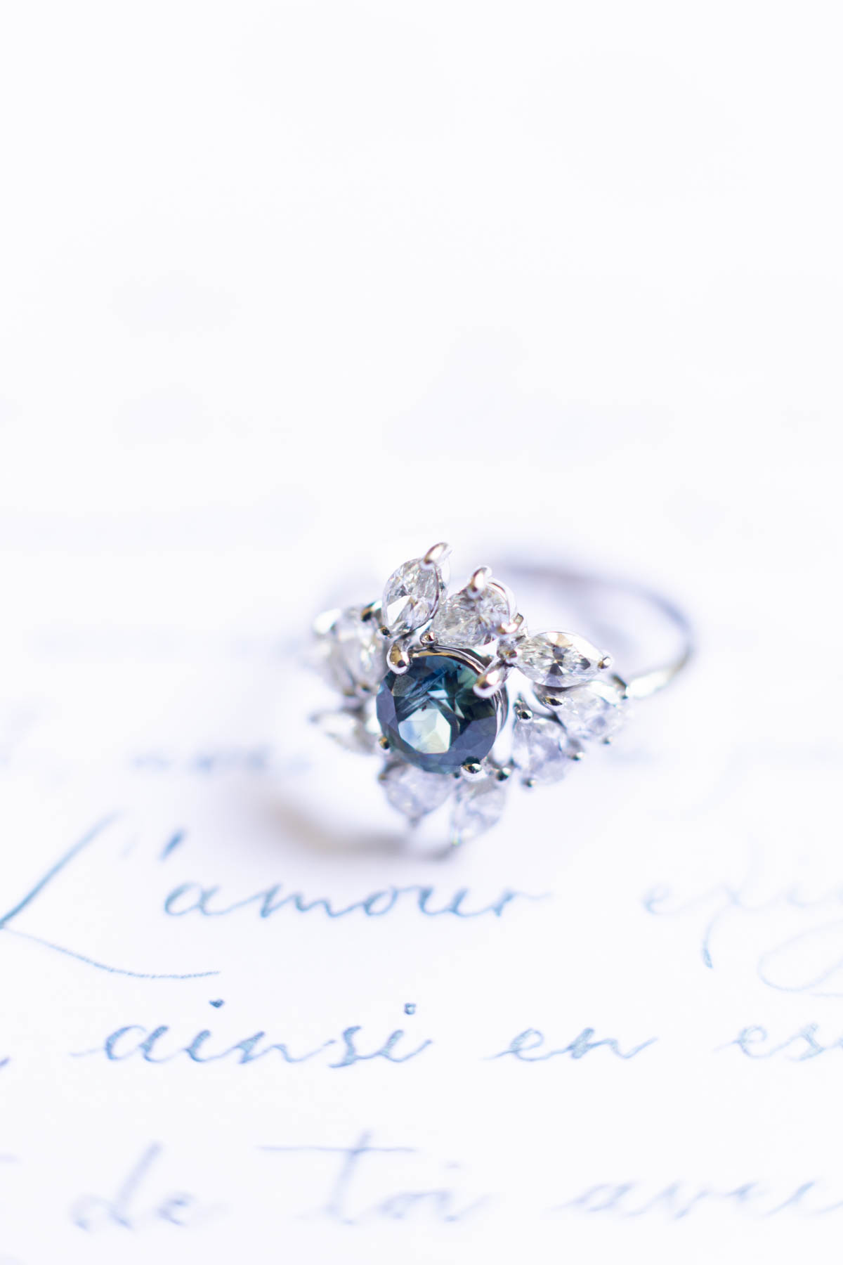 8jonathanferreira_frenchbluefineartweddi