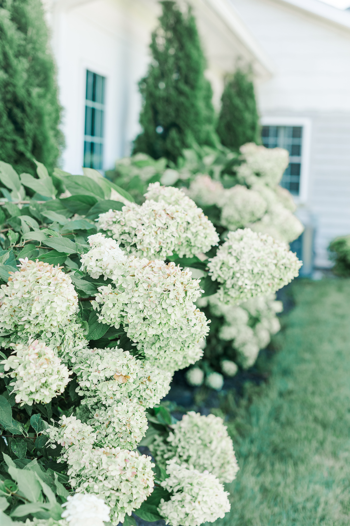 lorea-wedding_0032