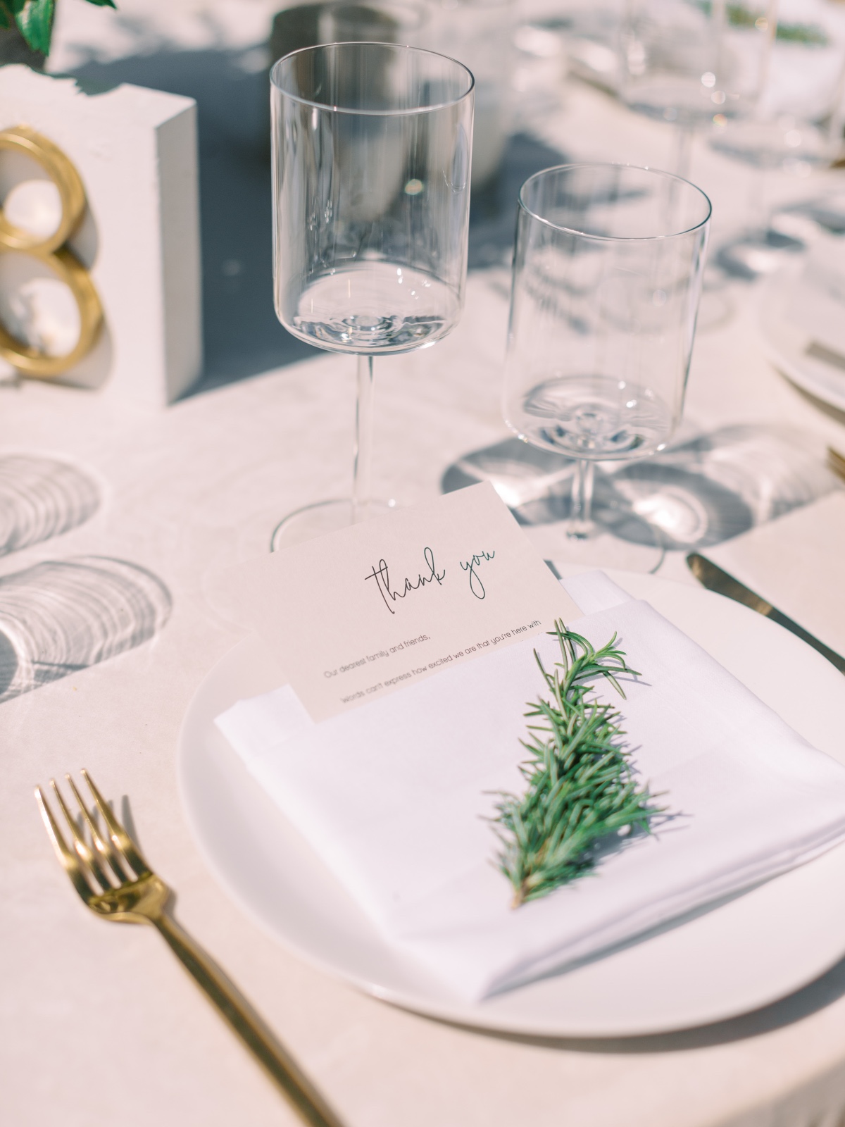 brian_and_kristynwedding-548