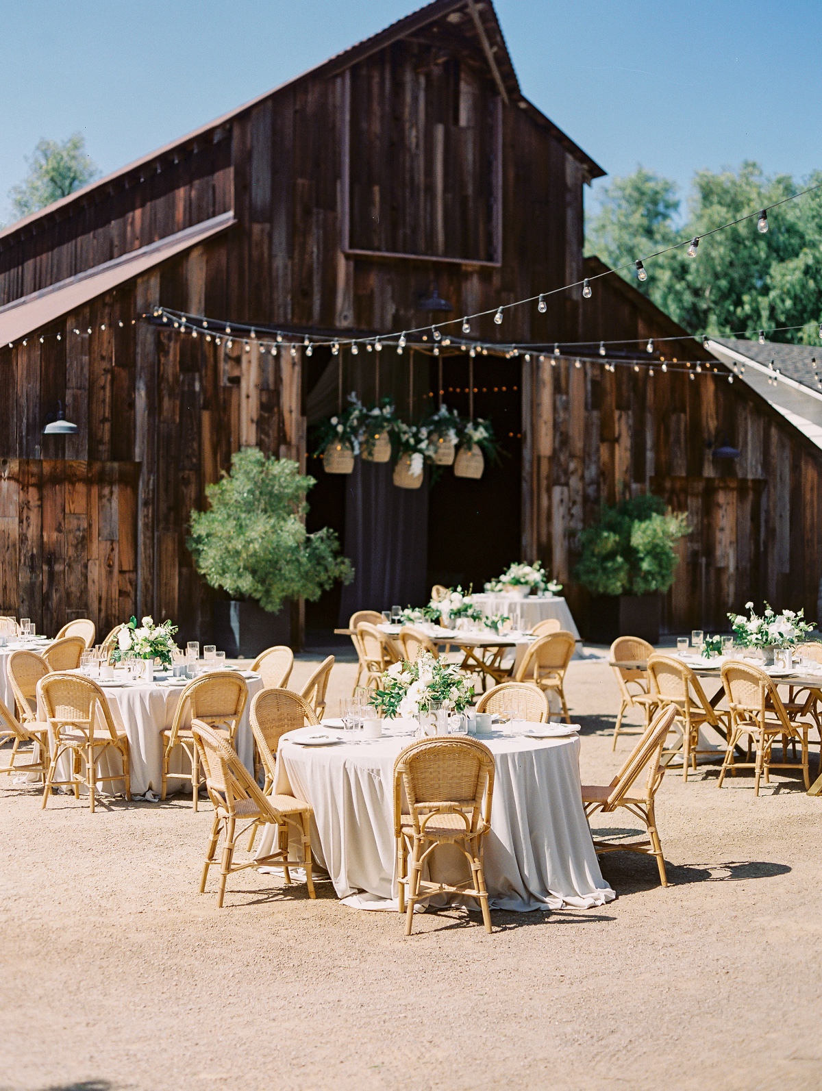 brian_and_kristynwedding-595