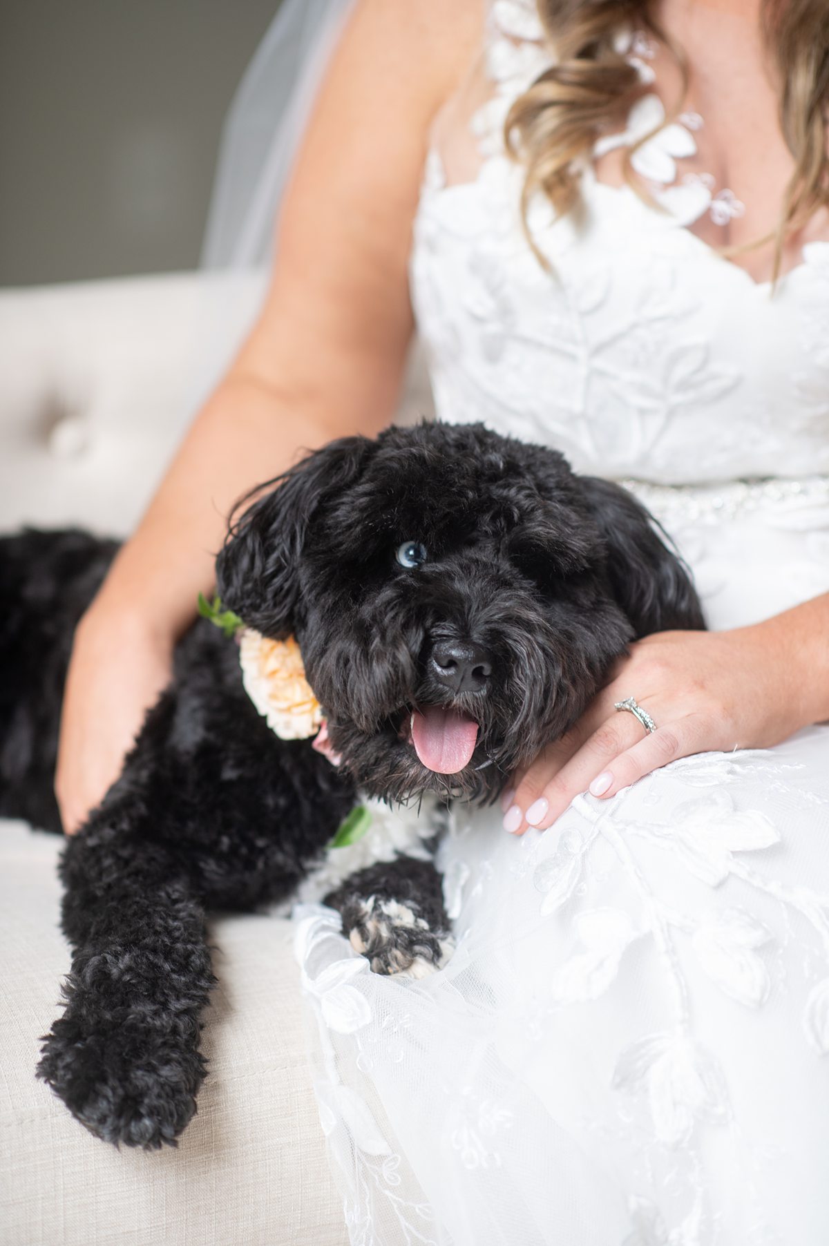 mikkelpaige-carolina-grove-colorful-wed