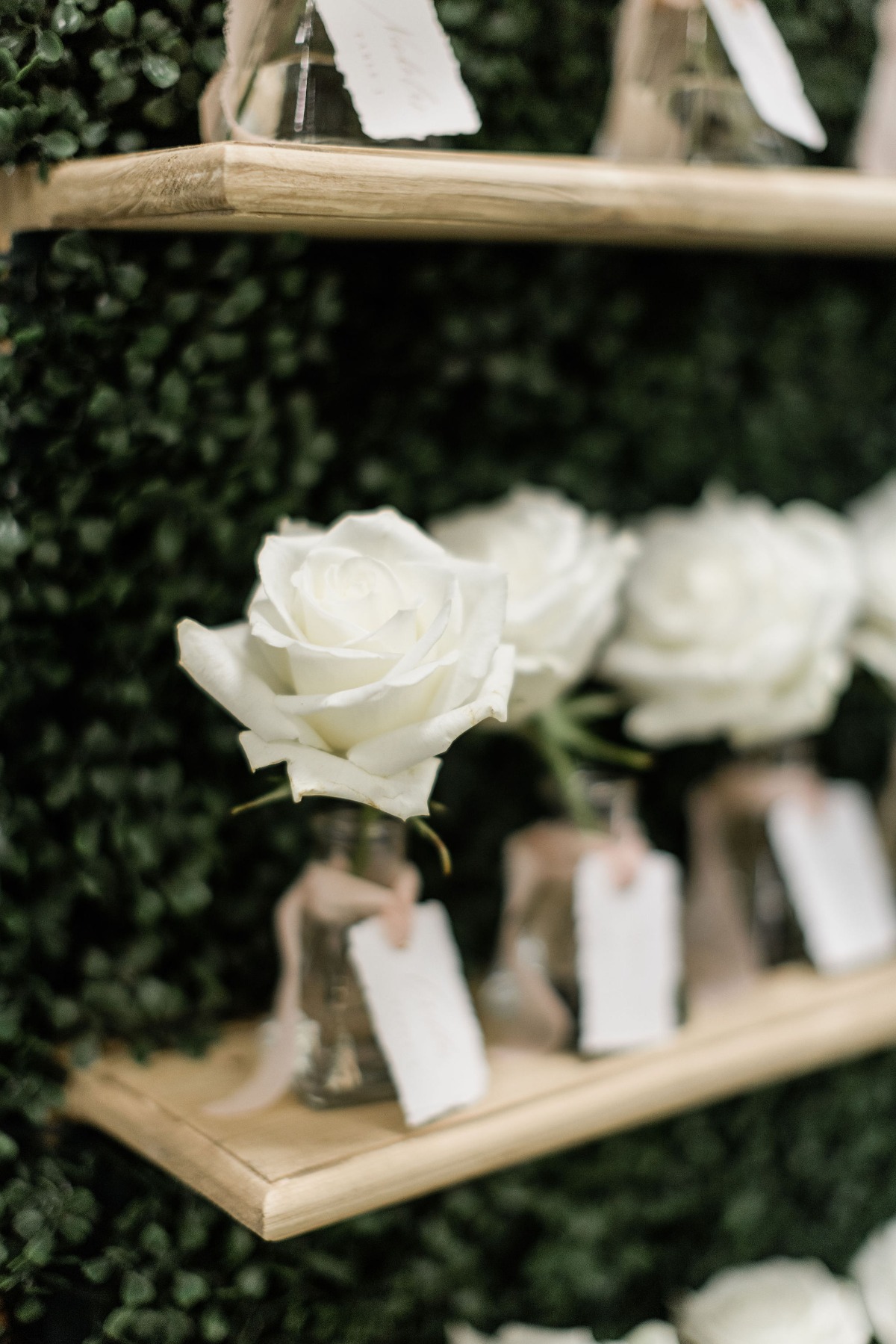wed_alyssaeric_pre-92