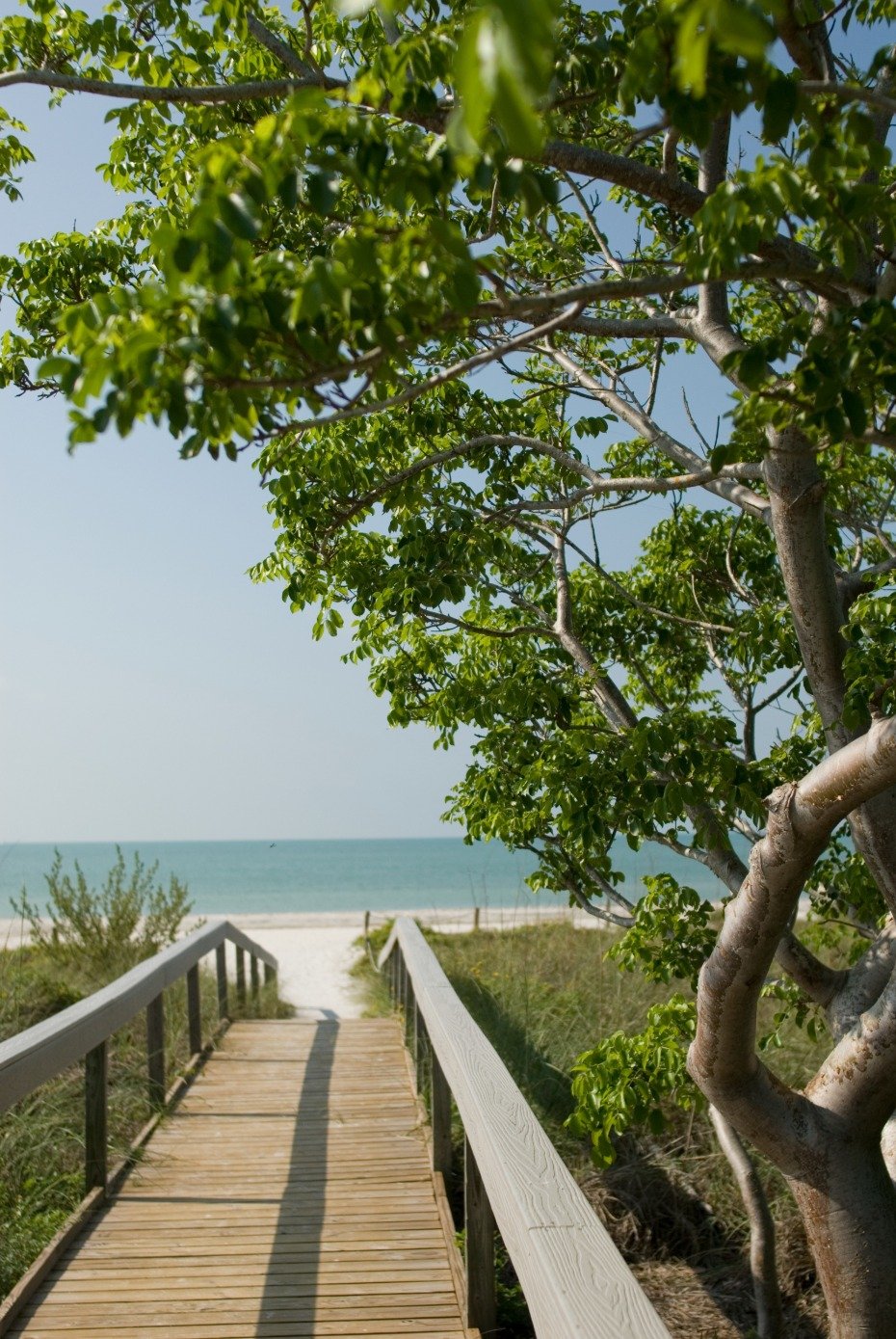 Everything Guests Will Love About Your Destination Wedding Weekend Around the Fort Myers Area