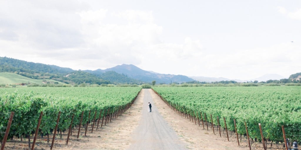How To Plan a Dreamy Napa Wedding at Chandon Winery