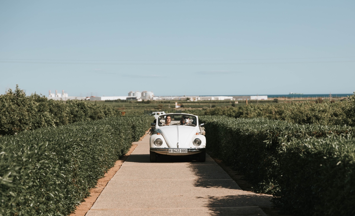 Rustic-Chic modern wedding in an orange field in Spain