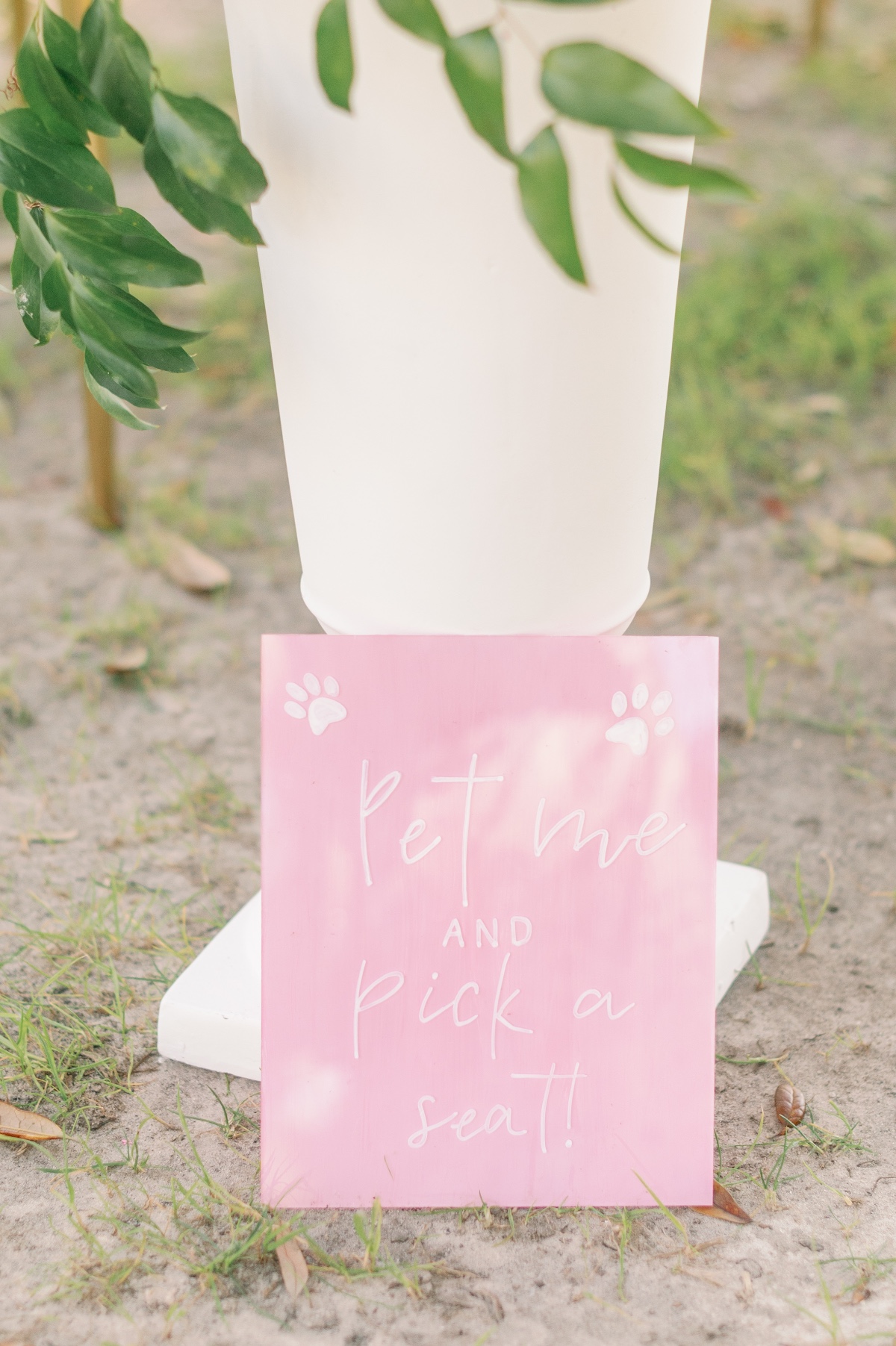 rebecca-sigety-photography-ash-events-28