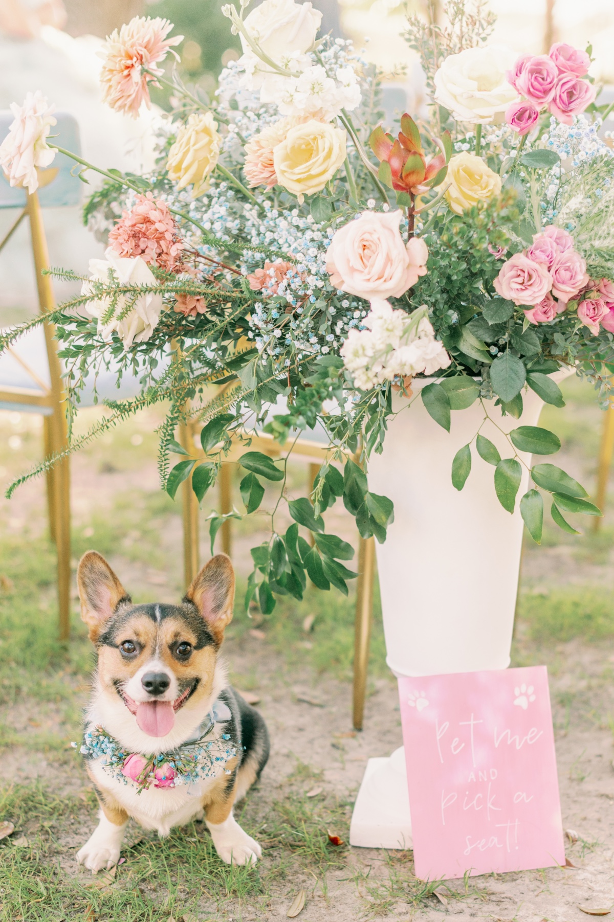 rebecca-sigety-photography-ash-events-29