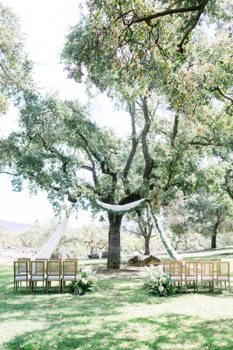 How To Plan a Dreamy Napa Wedding Venue at Chandon Winery
