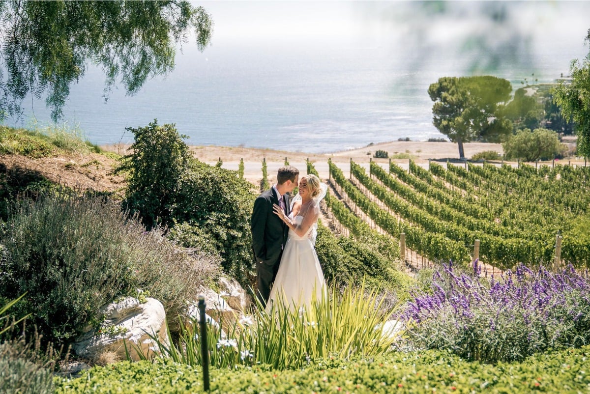 Portrait of bride and groom in front of vineyard and ocean