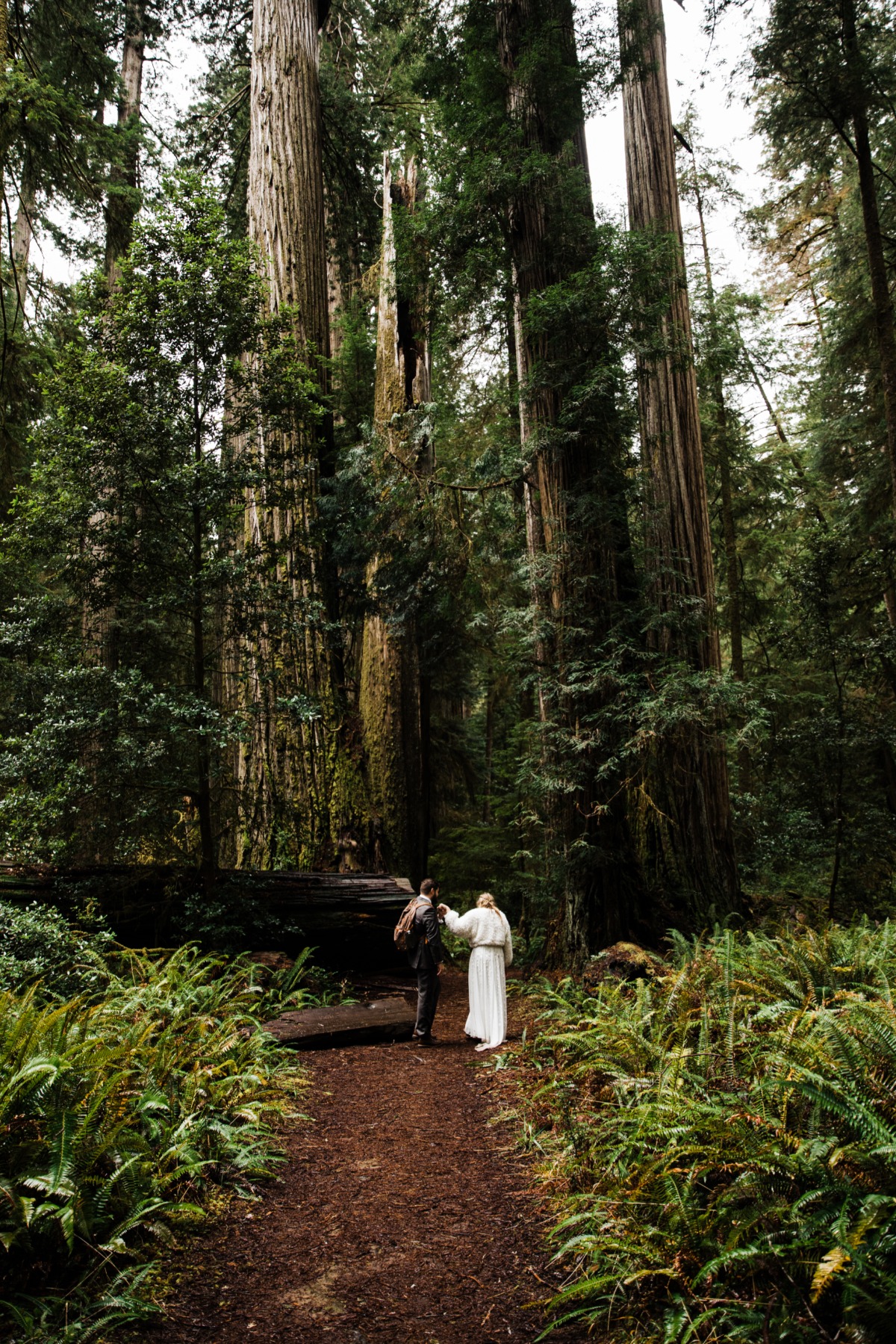 christine-matt-redwoods-oregon-coast-elo