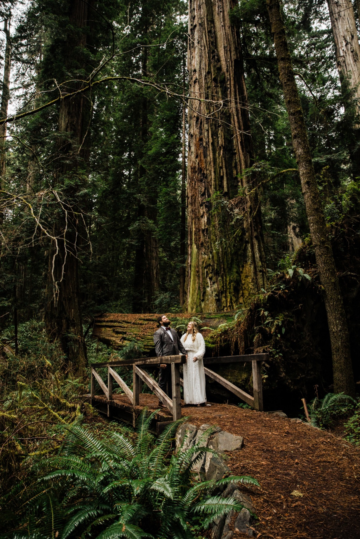 christine-matt-redwoods-oregon-coast-elo