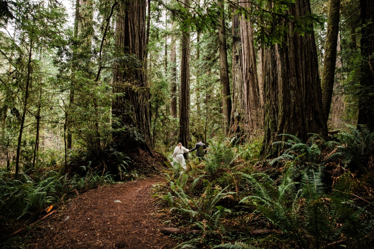christine-matt-redwoods-oregon-coast-elo