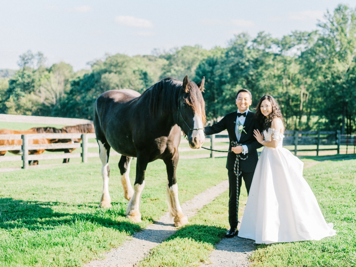 Portrait of bride and groom with horse