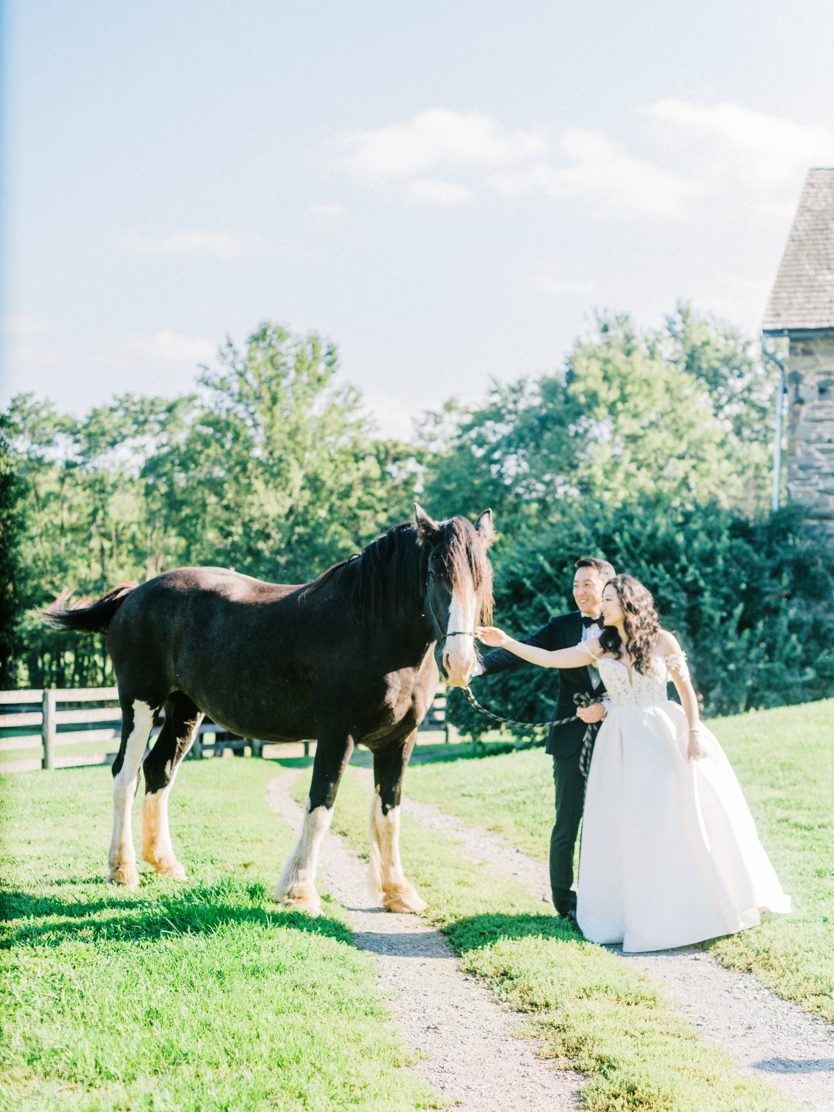 Portrait of bride and groom with farm horse