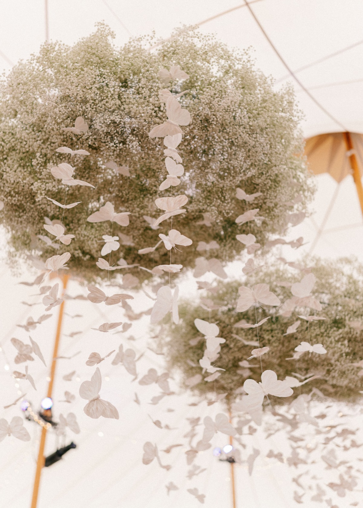 hanging butterflies from baby's breath