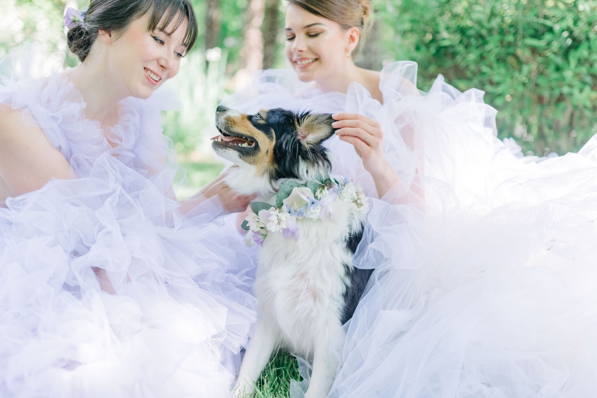 Bride and bridesmaid with dog with floral collar