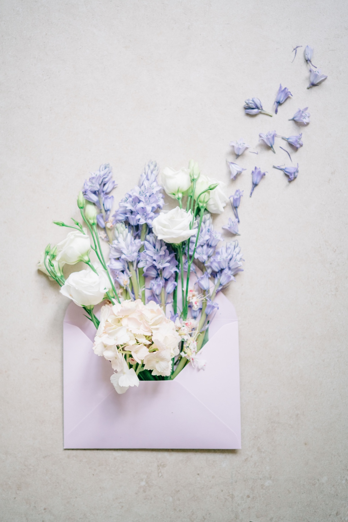 Aerial view of lilacs in envelope