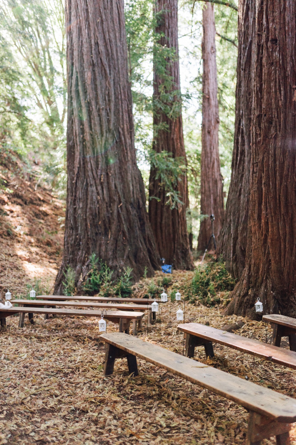 ovy-camp-wedding-half-moon-bay-nichole-jeff-ashley_26