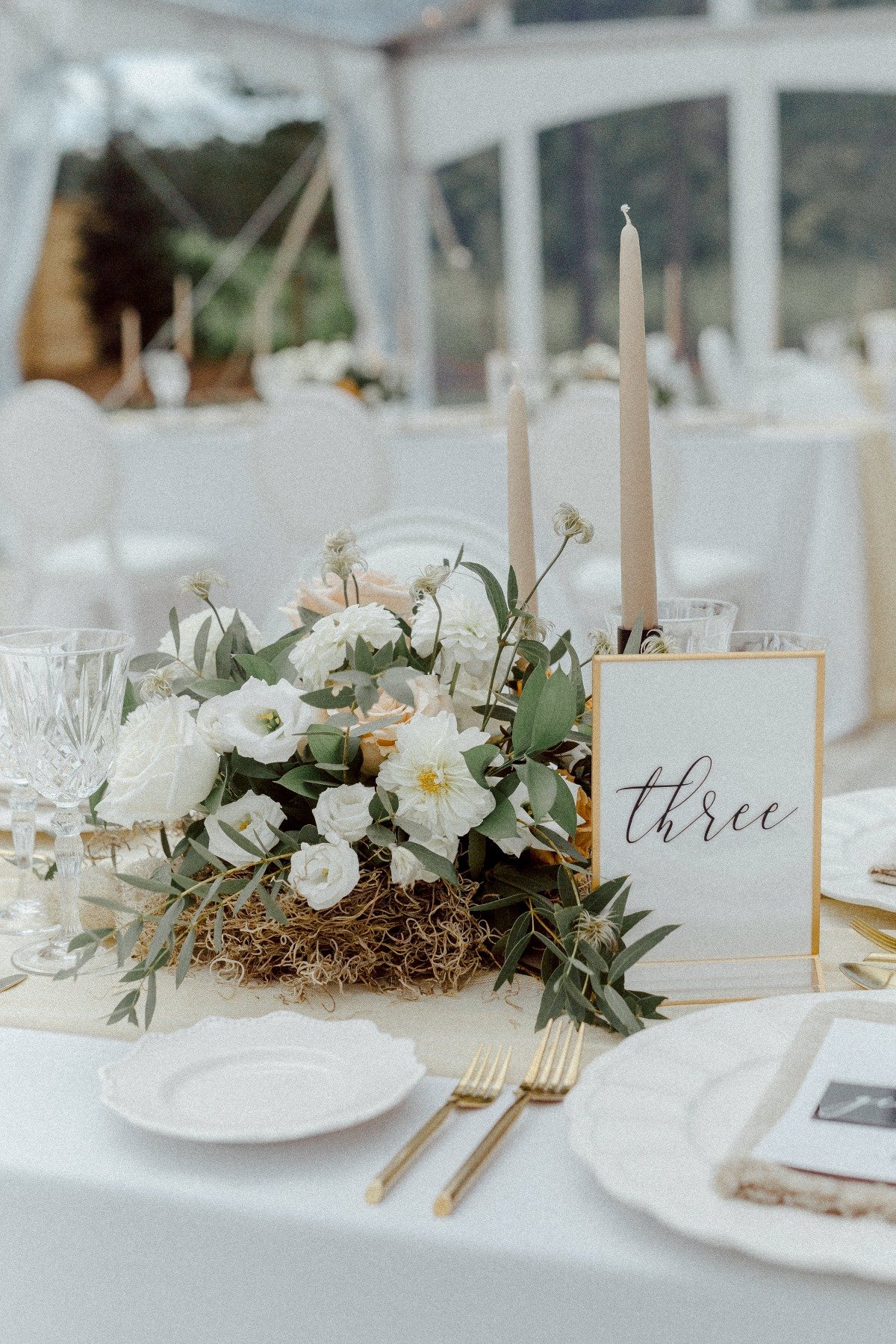 Reception centerpiece and table number