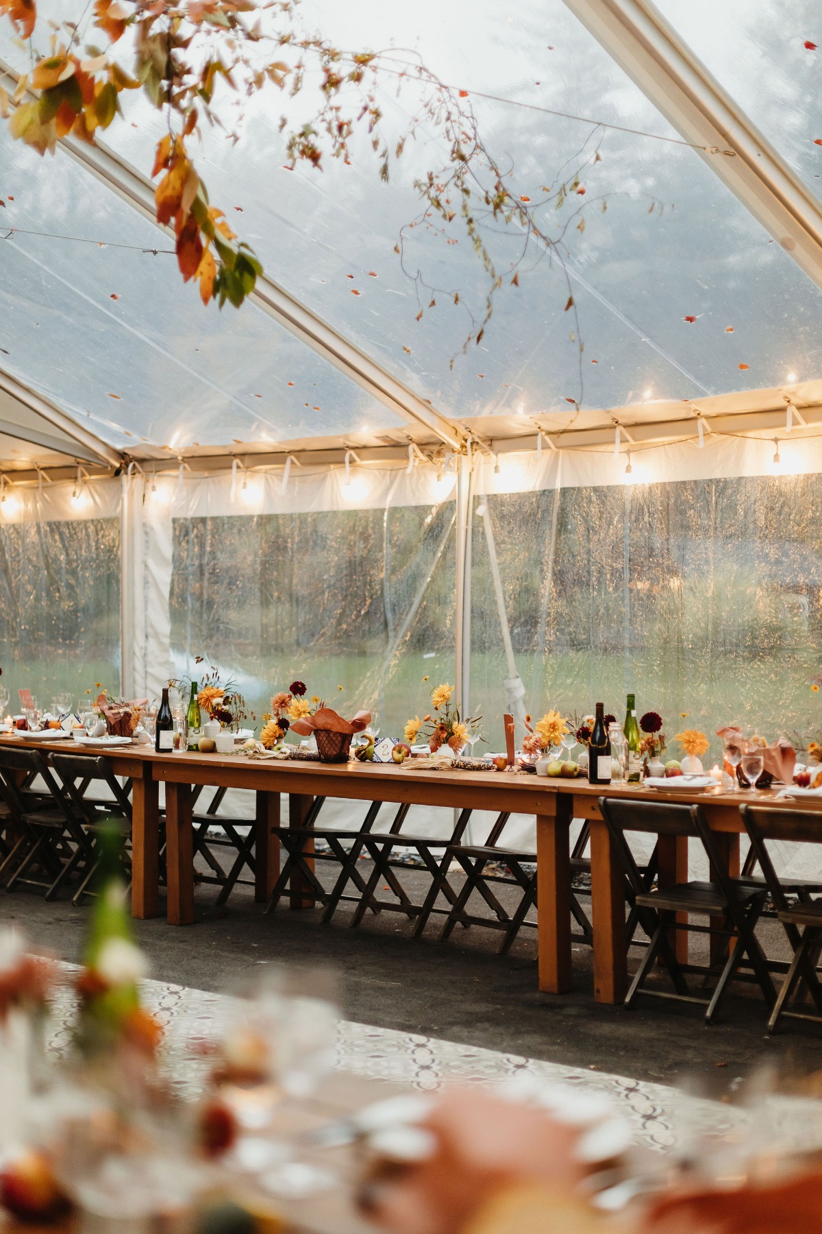 alex-healy-photo-foxfire-mountain-house