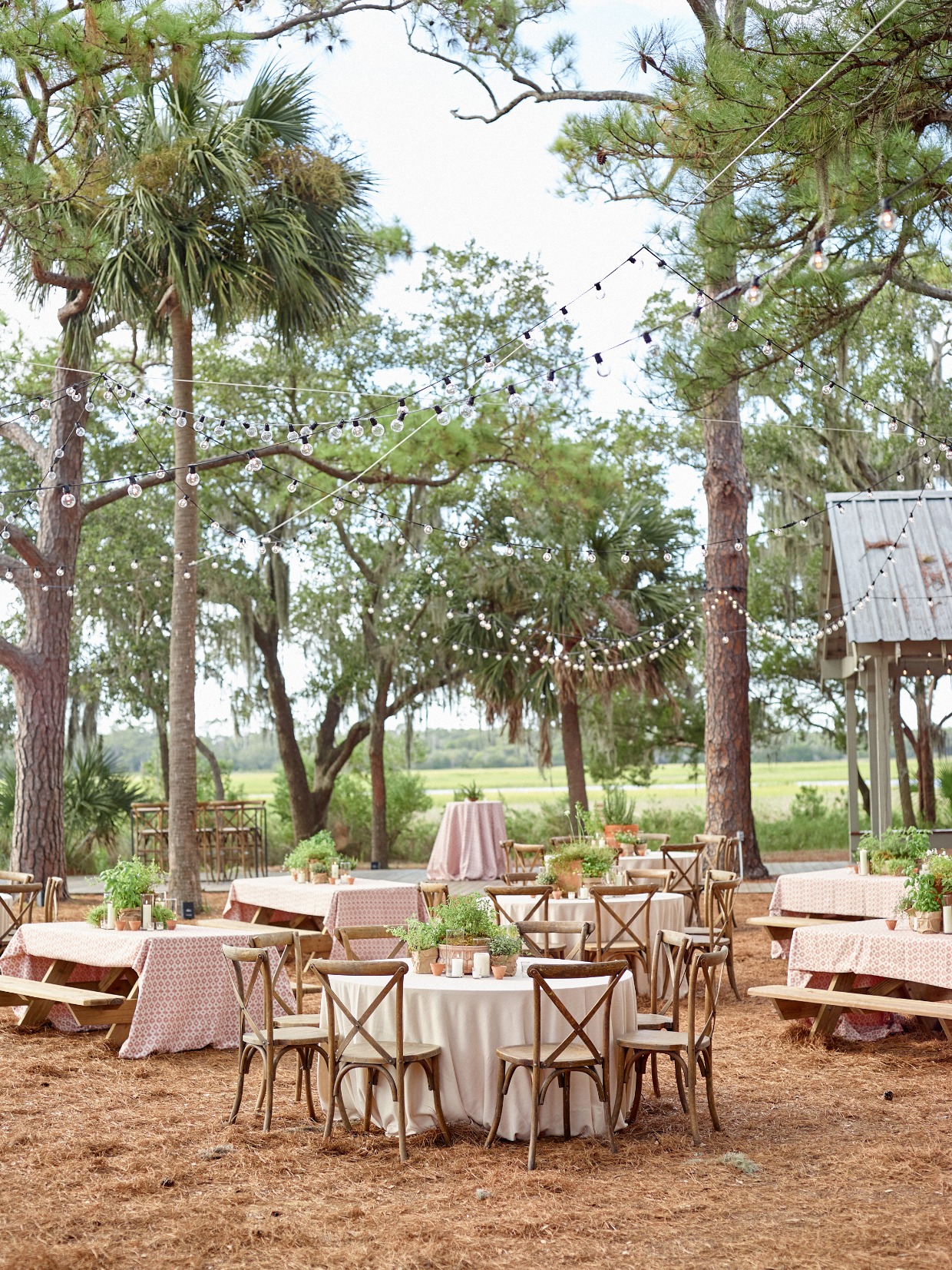 Welcome party area with tables, picnic, tables, string lights, and herb centerpieces