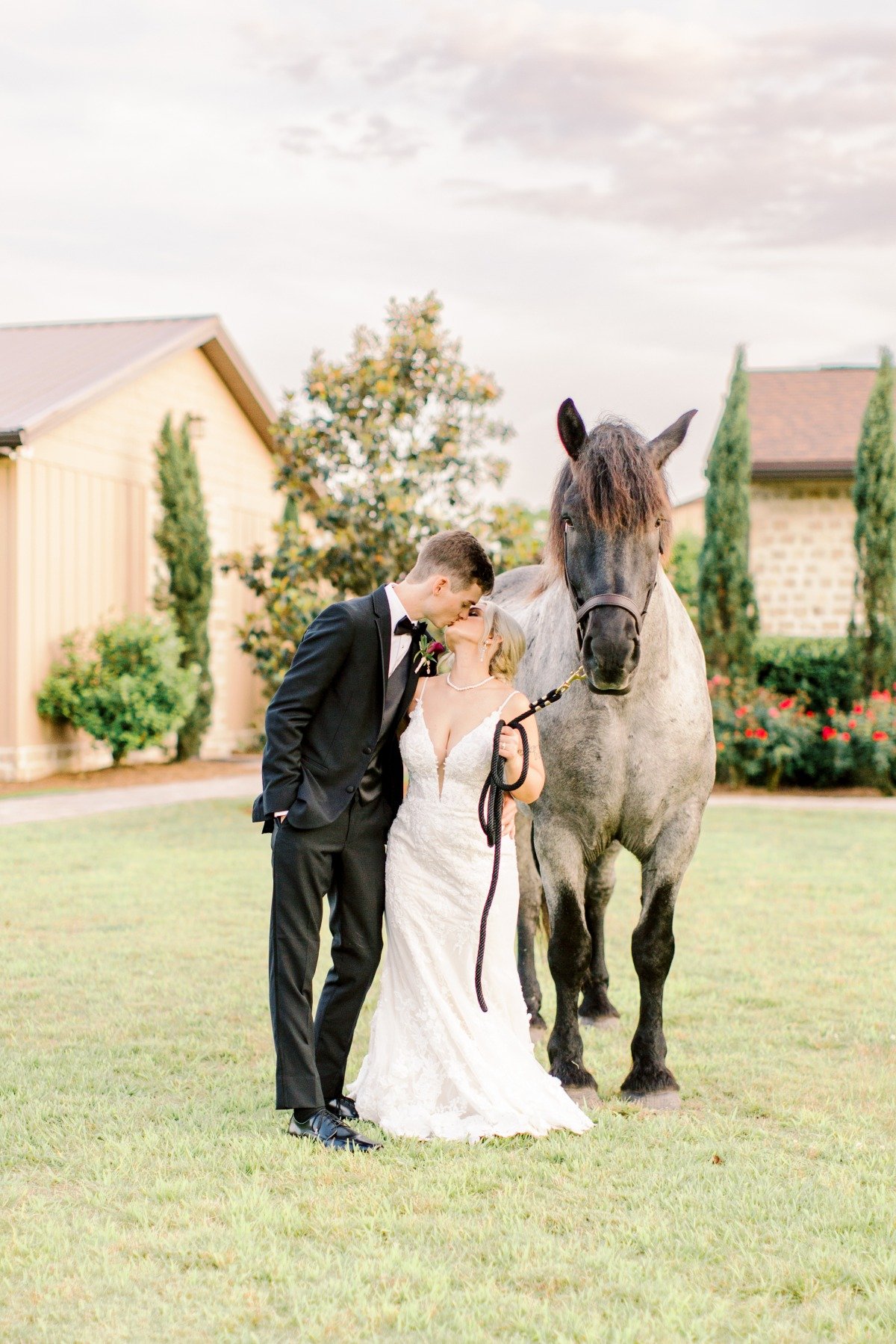 Bride and Groom Horse Portrait