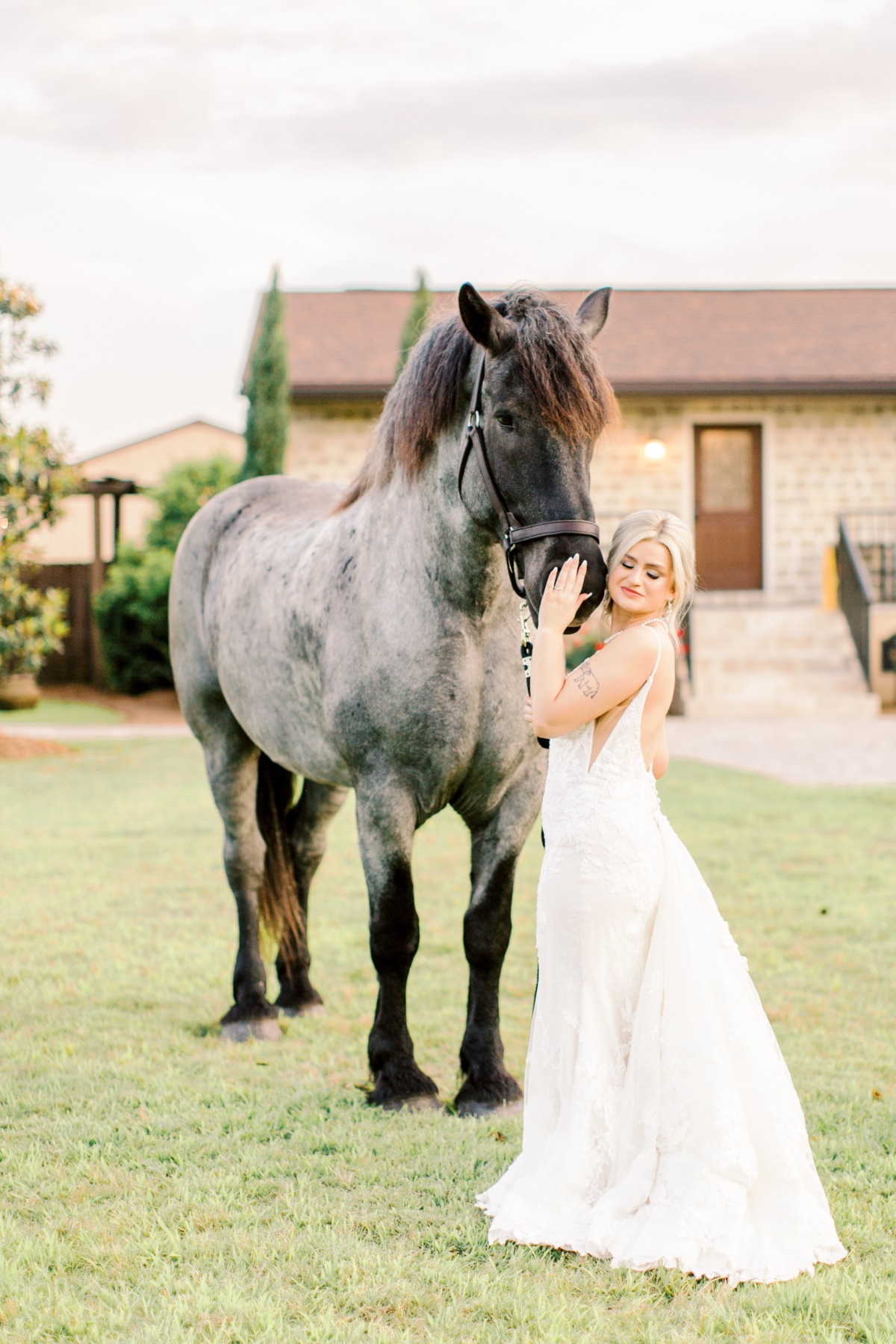 Bridal Horse Portraits