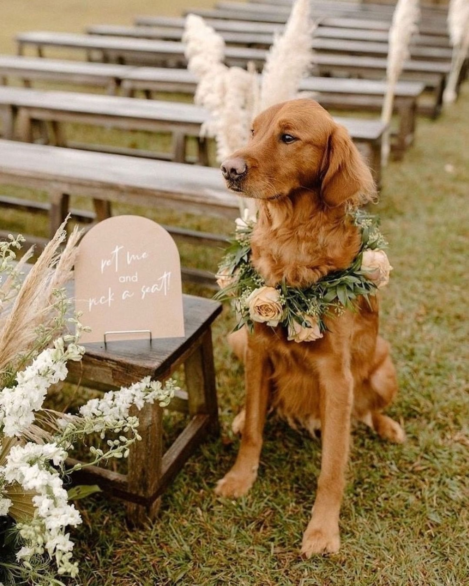 pet friendly wedding venue
