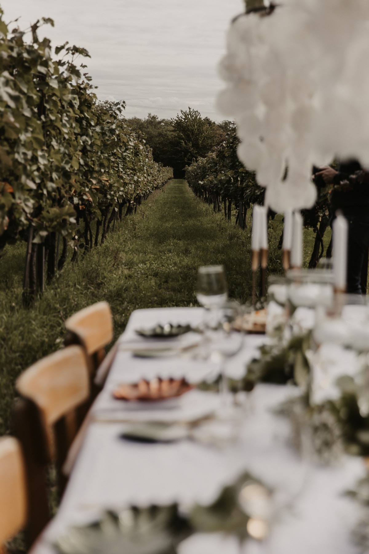 vineyard wedding