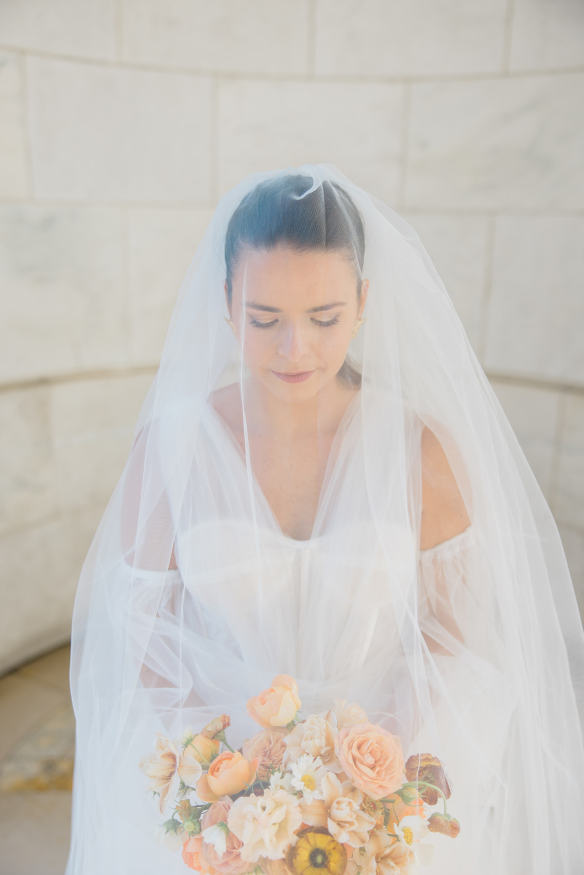 simple cathedral length wedding veil 