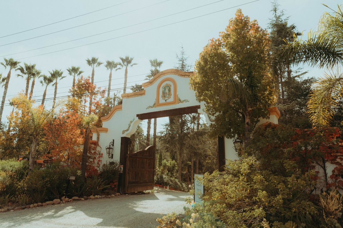 tippan-nolan-intertwined-events-apartment-three-photography58