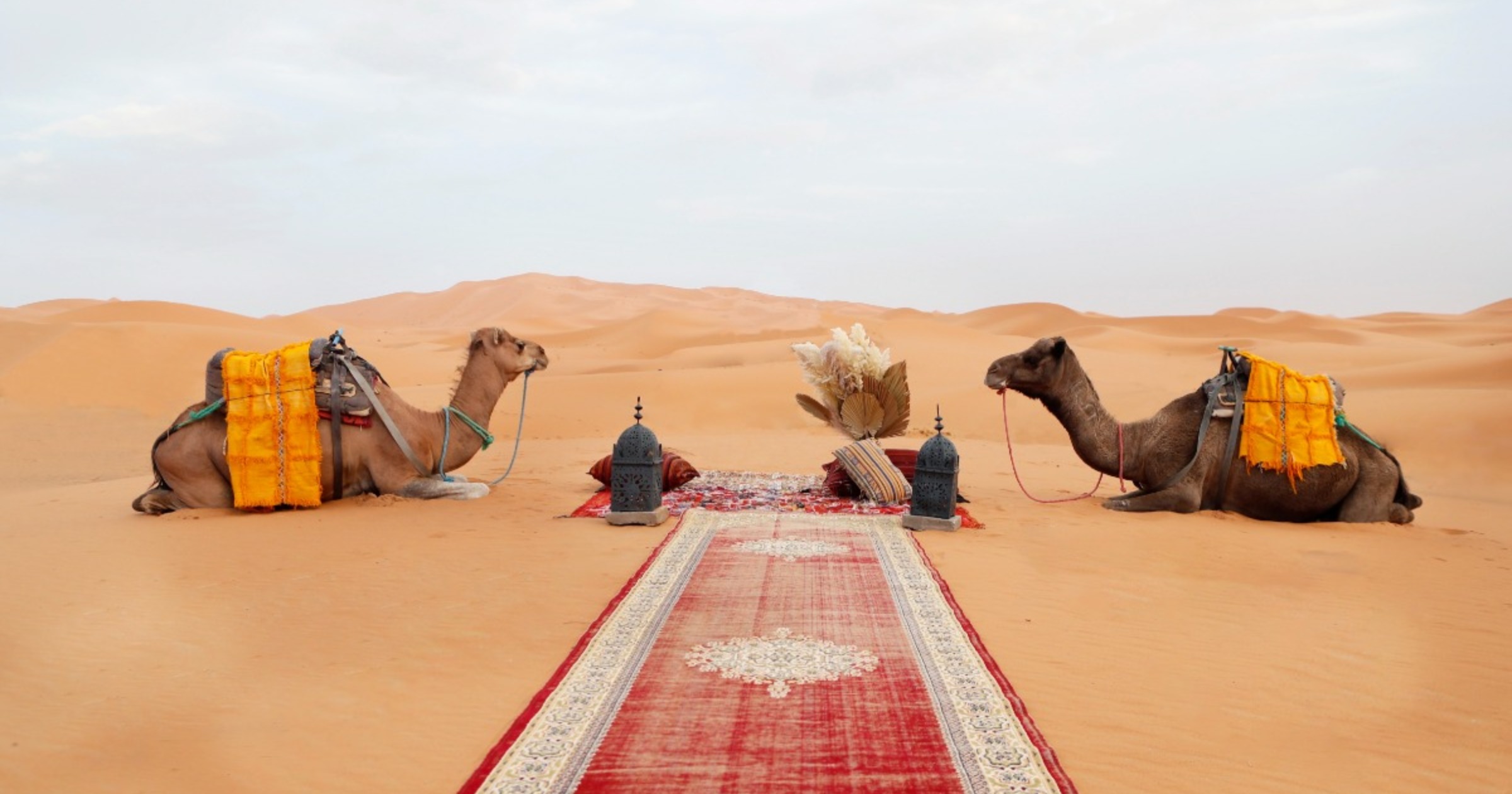 A Magical Elopement in the Moroccan Sahara Desert