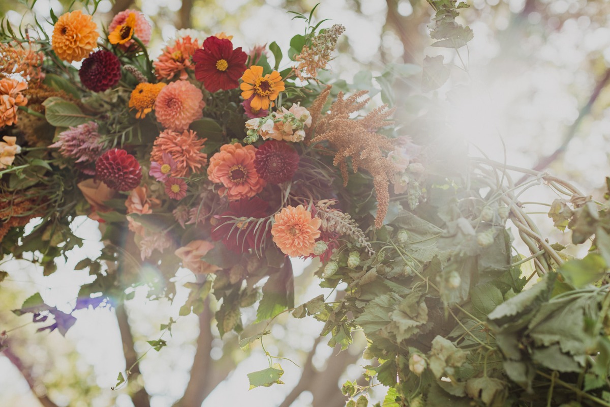 backyardwedding51