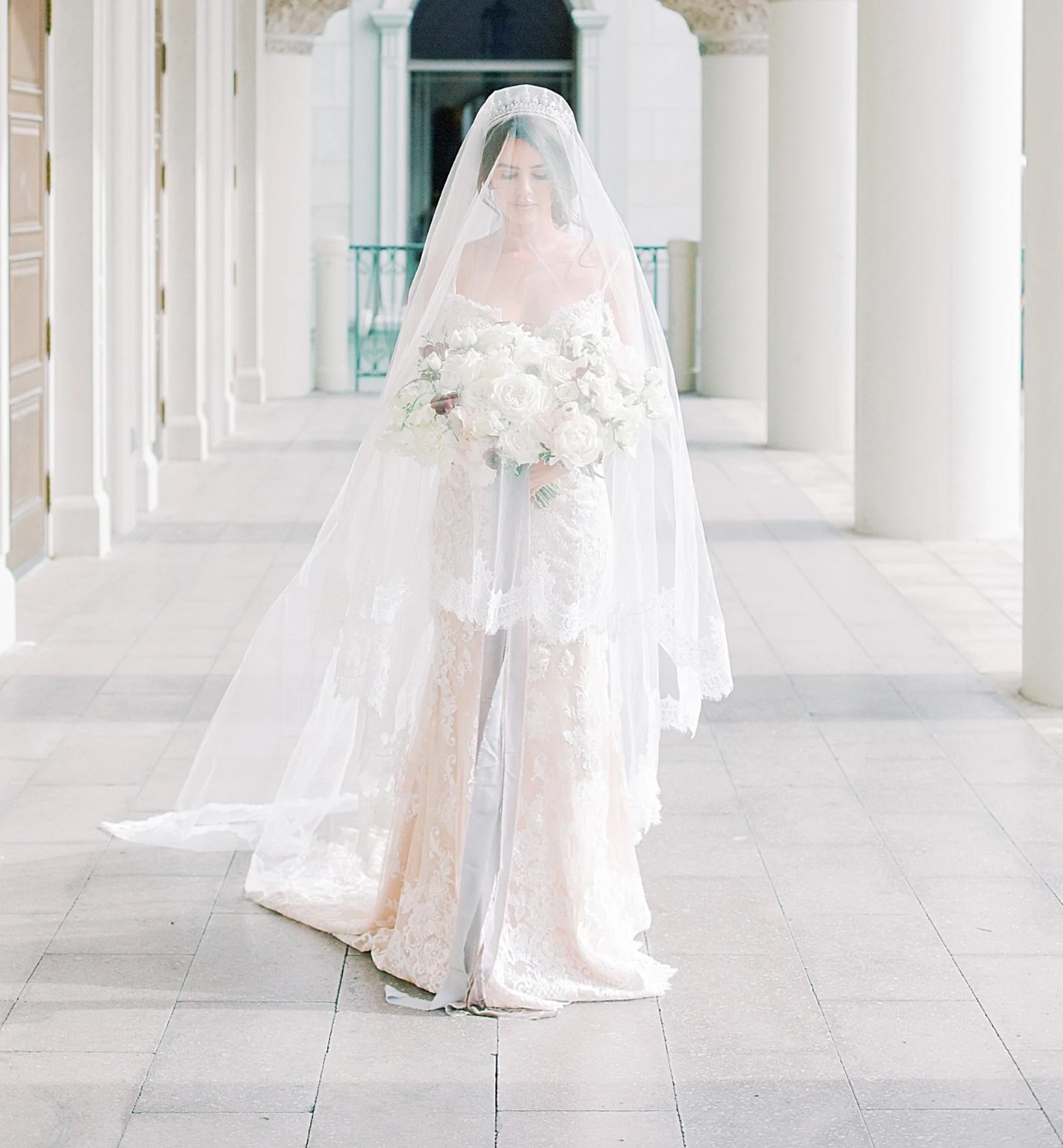 cathedral length veil with lace trim and blusher