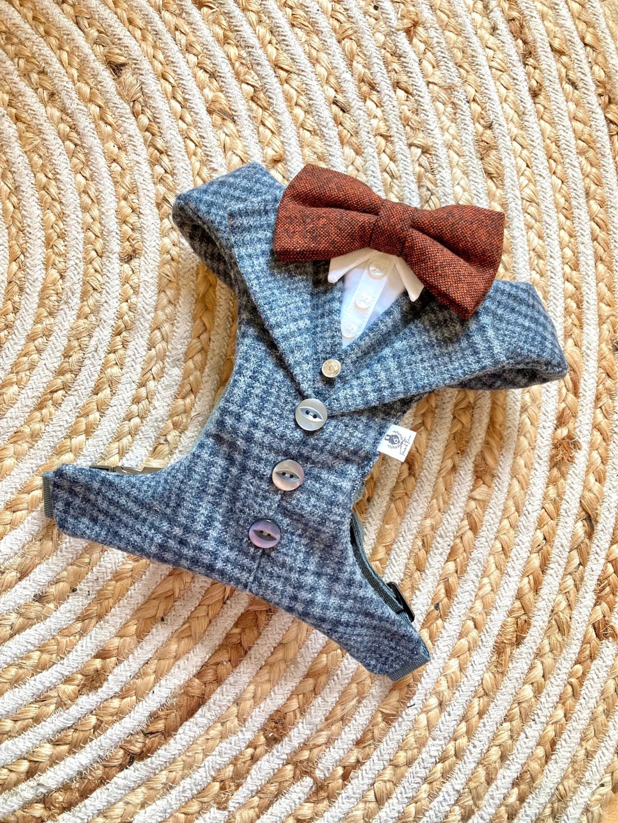 gray dog suit with bow tie for wedding