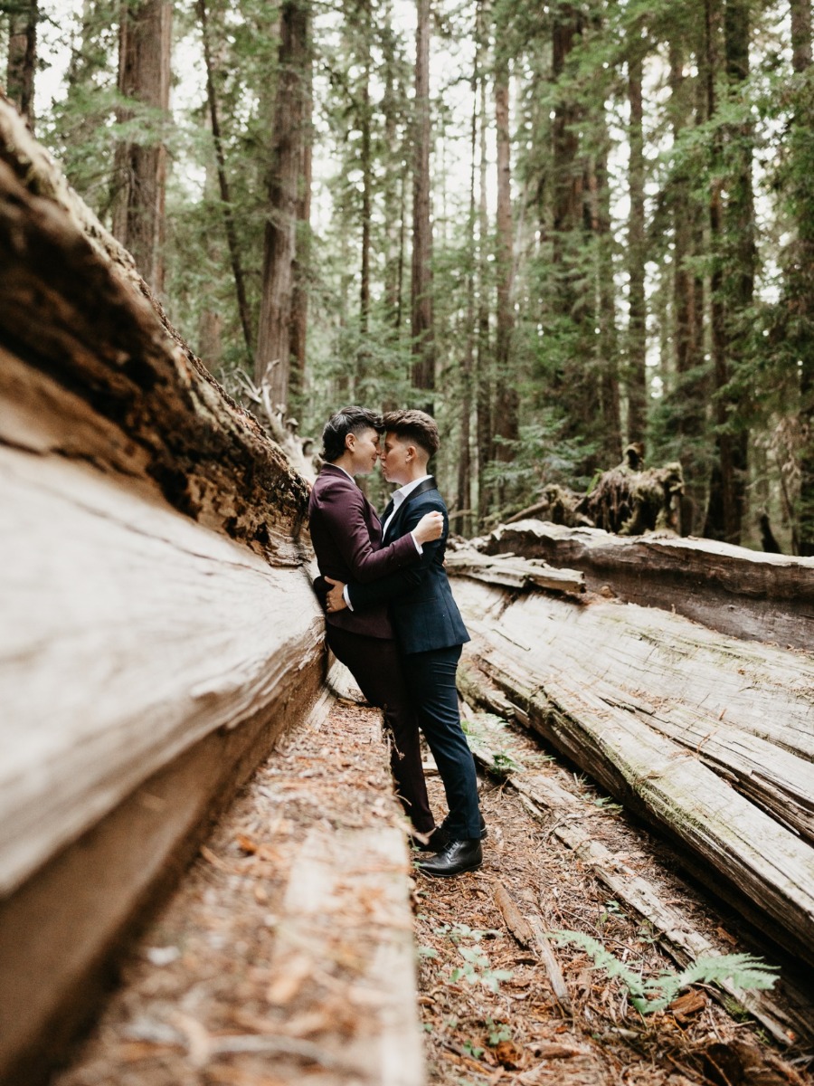A Romantic Elopement in the Redwoods at Harbor House Inn