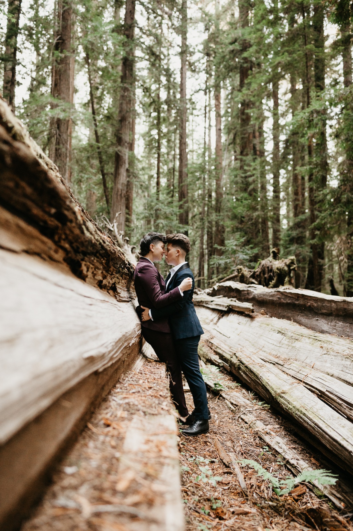 redwoods elopement