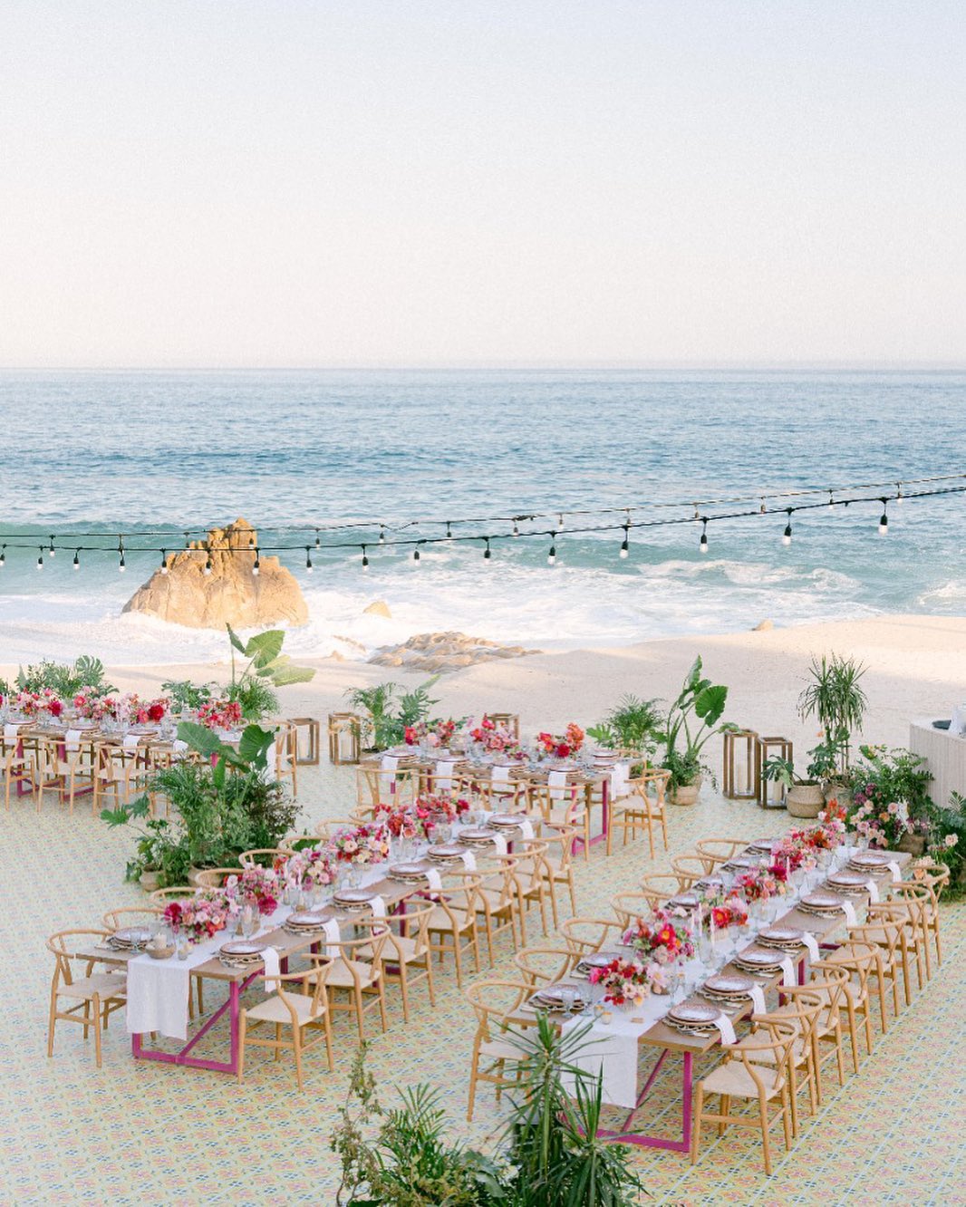 oneandonlypalmilla