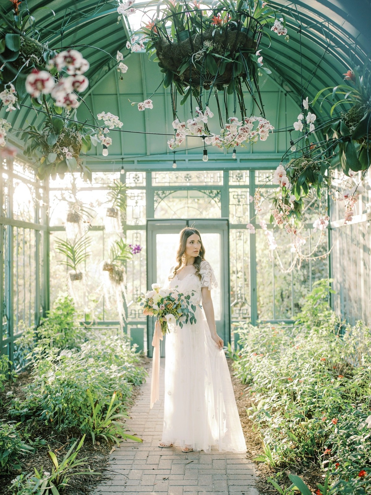 The Wonder Gardens