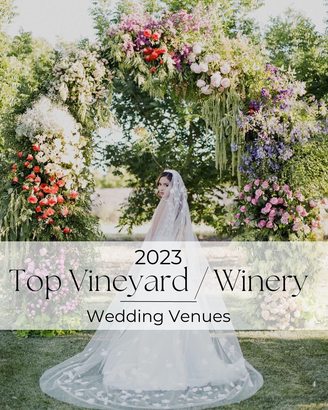 Vineyard wedding anyone" Here are a few that you should know about?