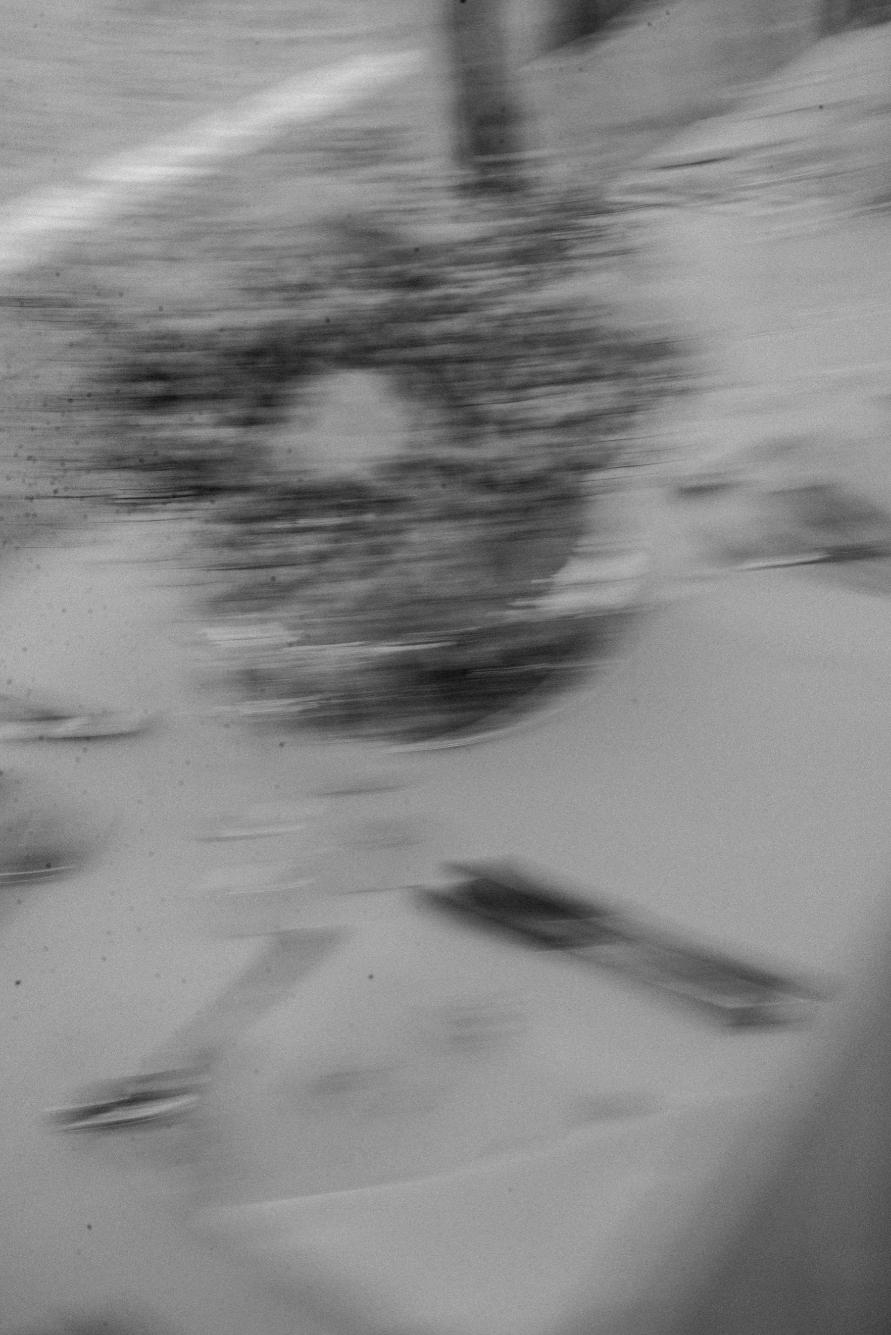 dsc_6190