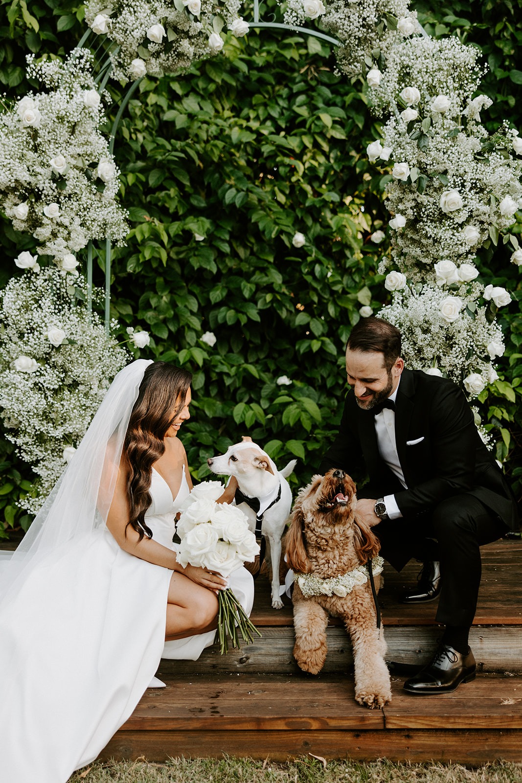 bride and groom with their dogs at wedding