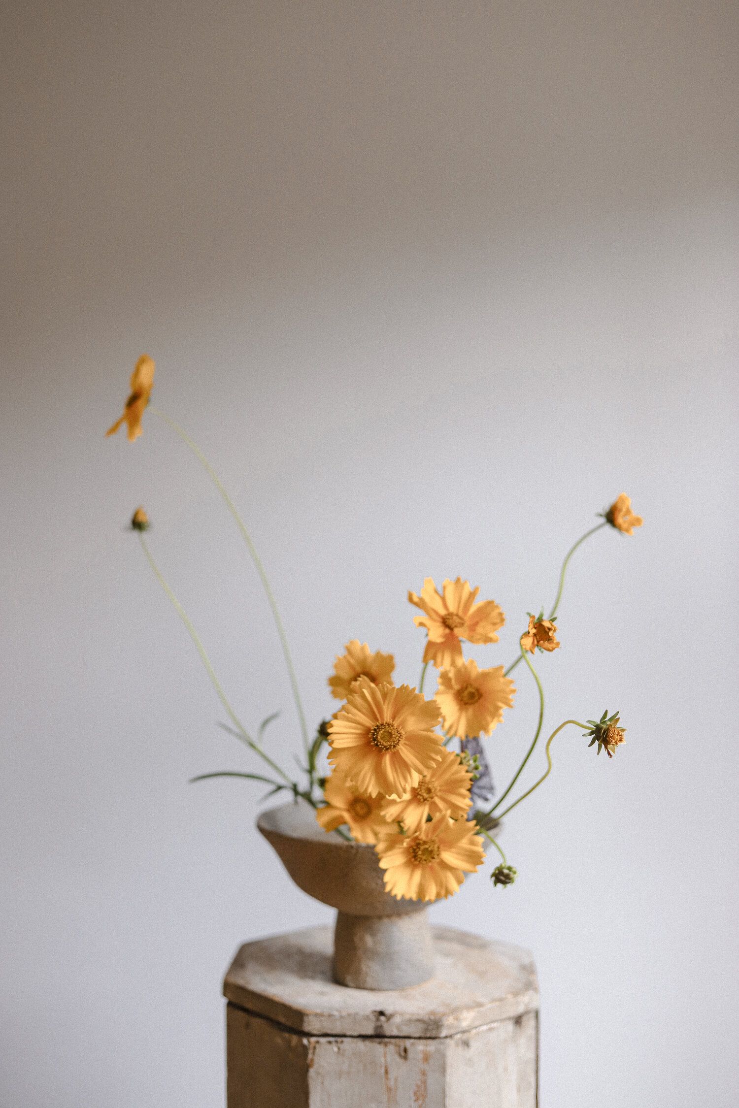 Daisy Ikebana floral arrangement in gold