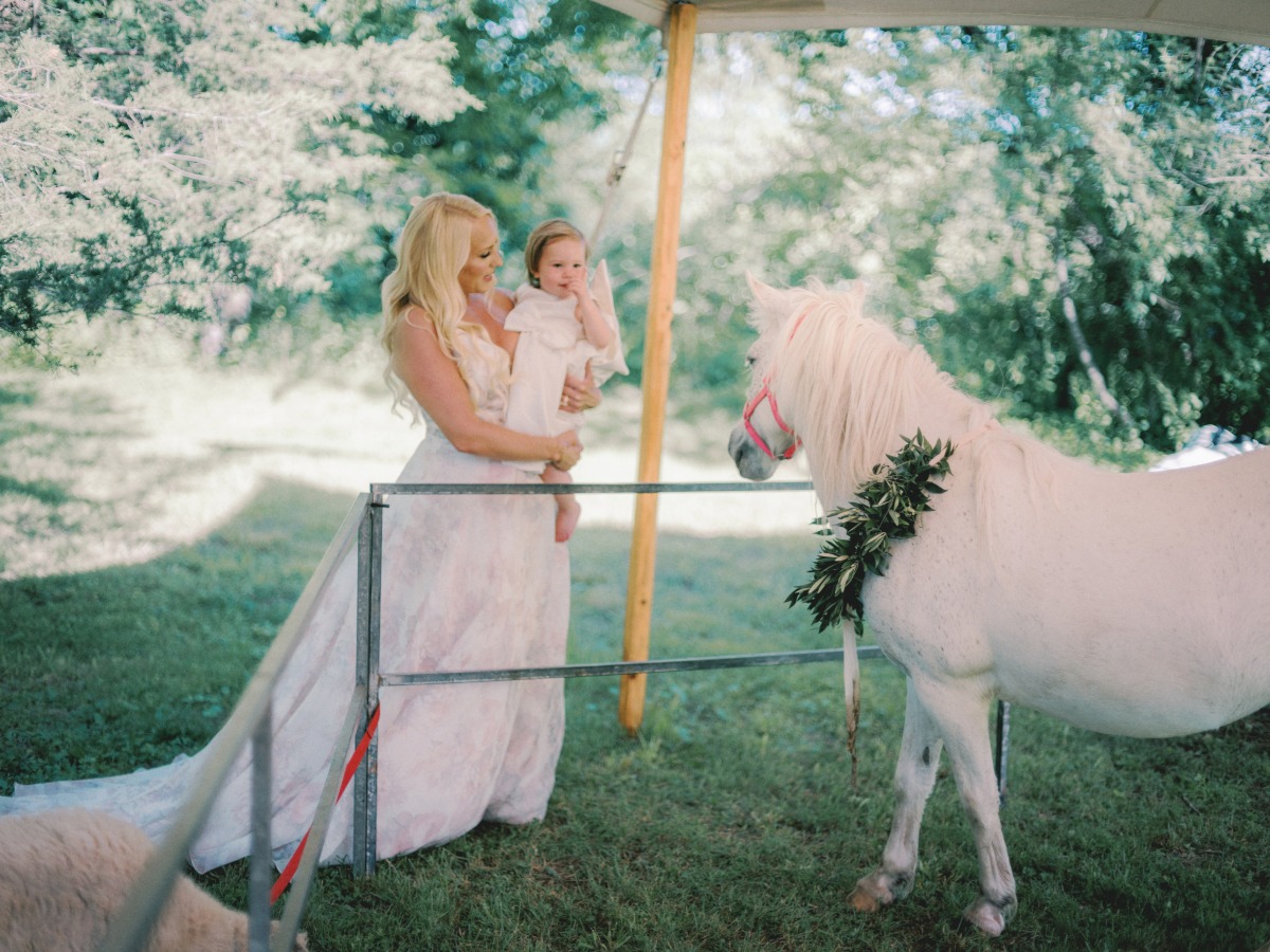 white horse petting zoo at wedding