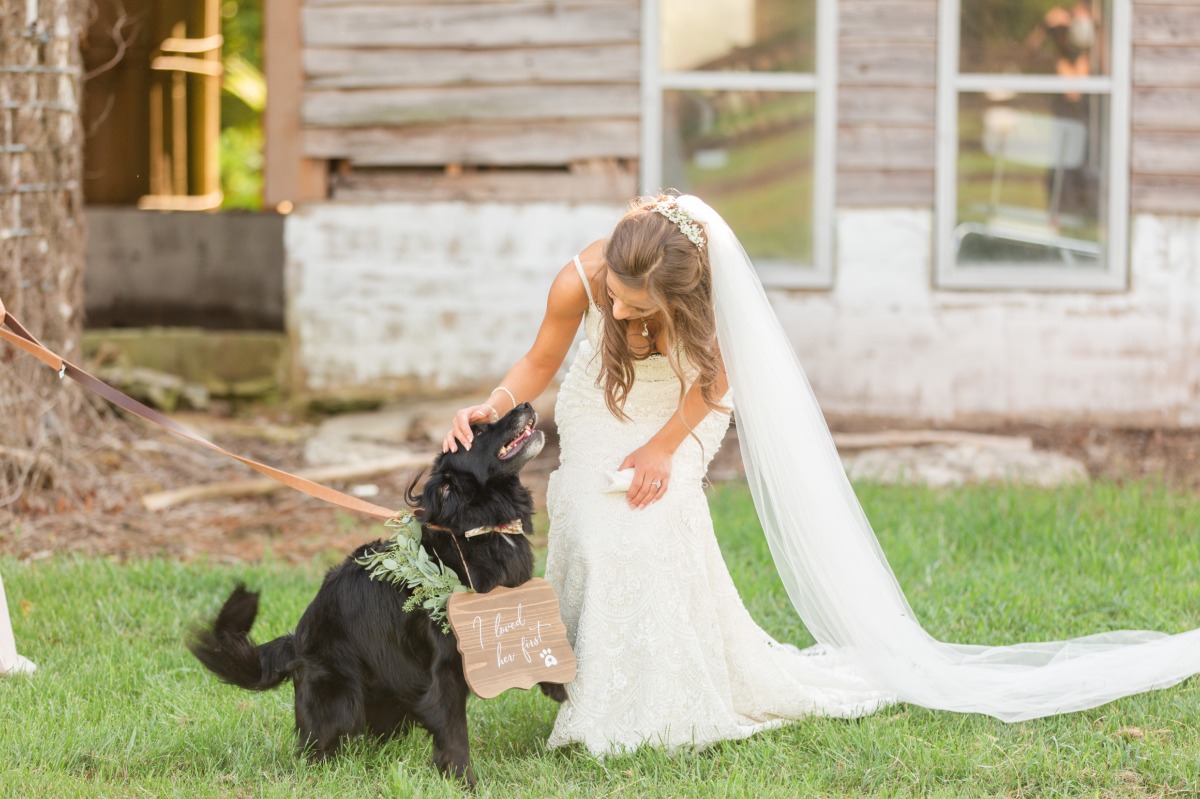 Dog ring bearer outfit and sign