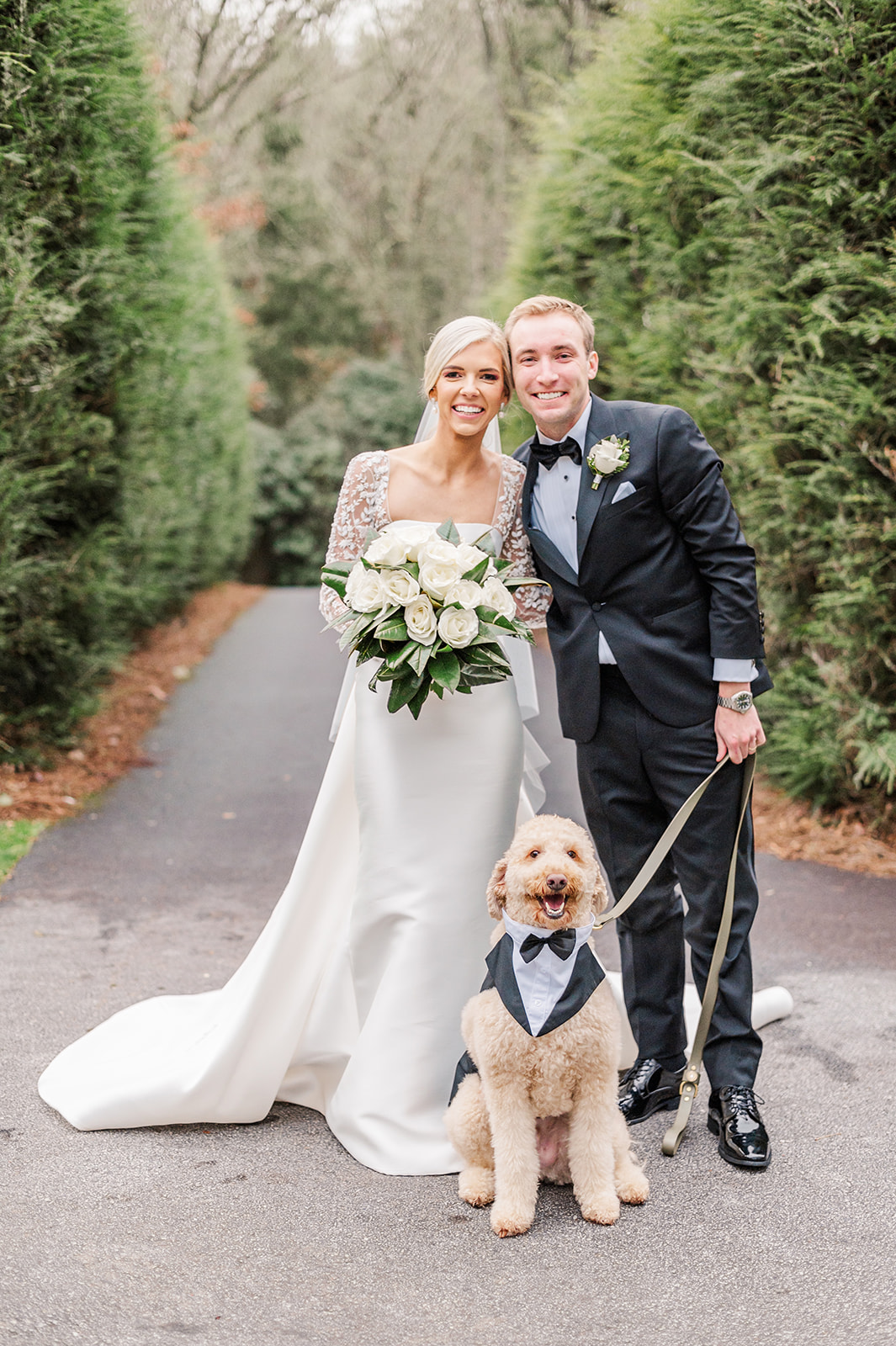 Adorable puppy ring bearer