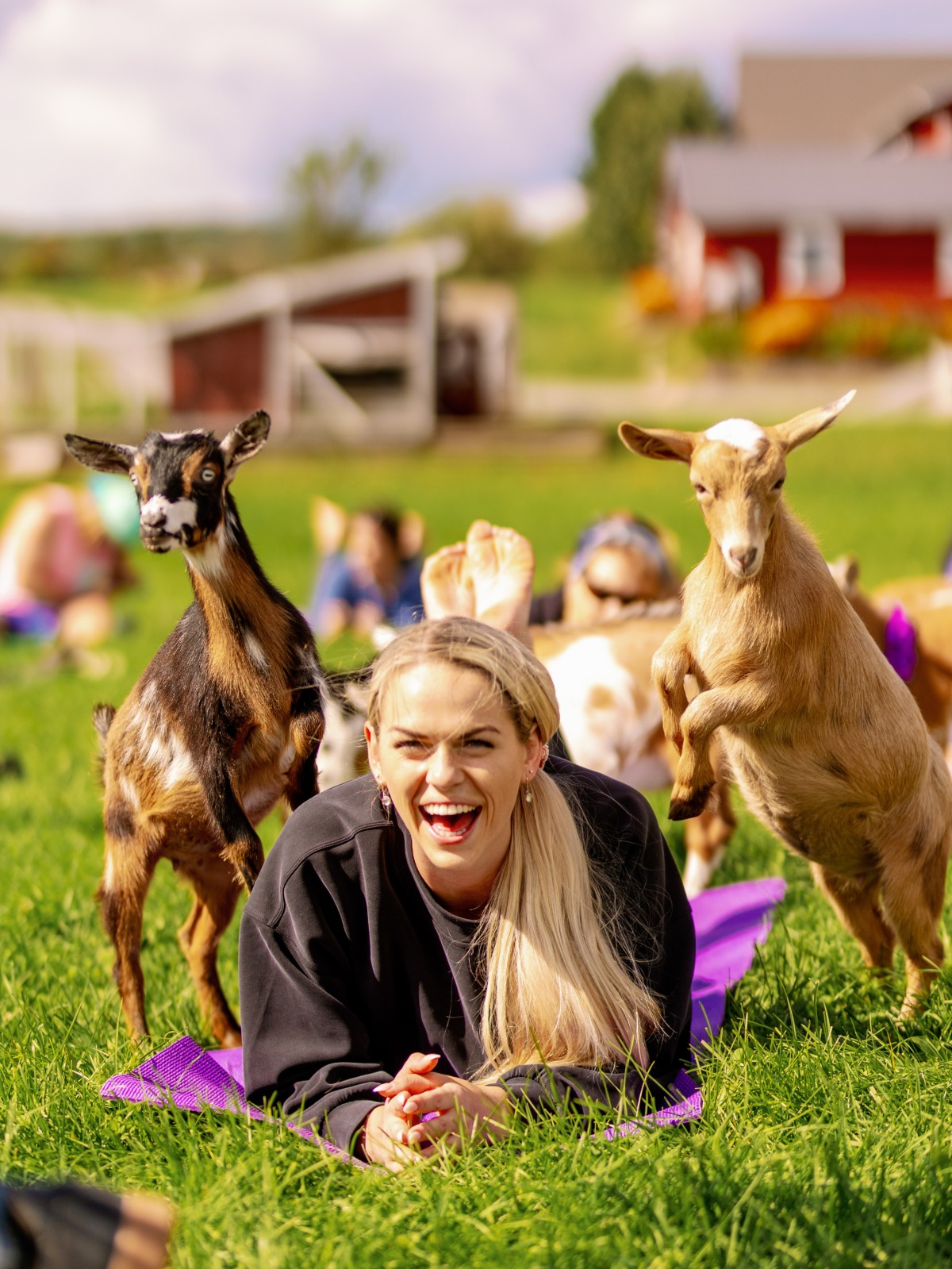 Goat yoga farmhouse wedding