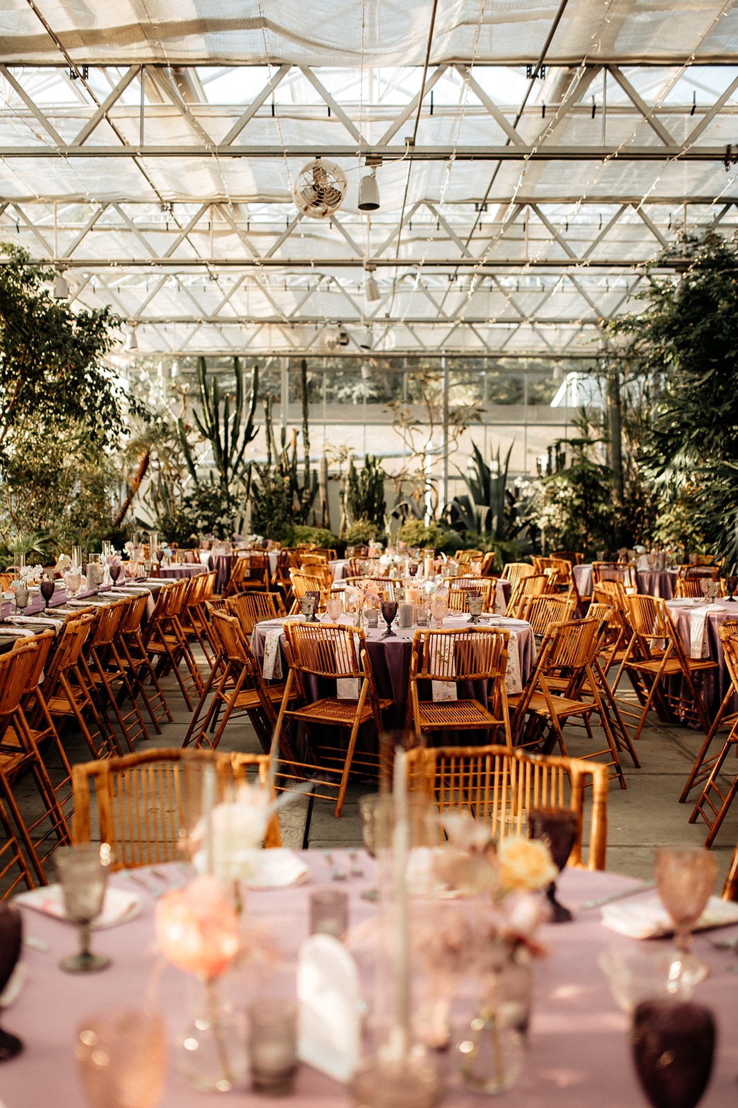 laurencraigrogerwilliamsbotanicalcenterweddingprovidencerhodeisland-1038_websize